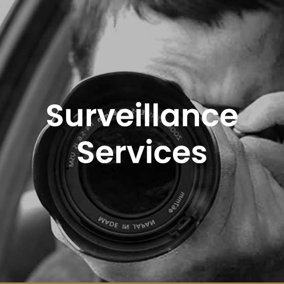 surveillance-gold